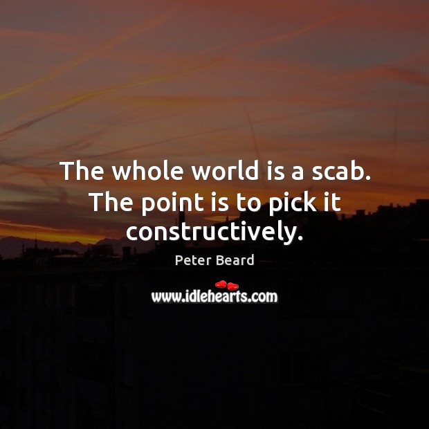The whole world is a scab. The point is to pick it constructively. Peter Beard Picture Quote