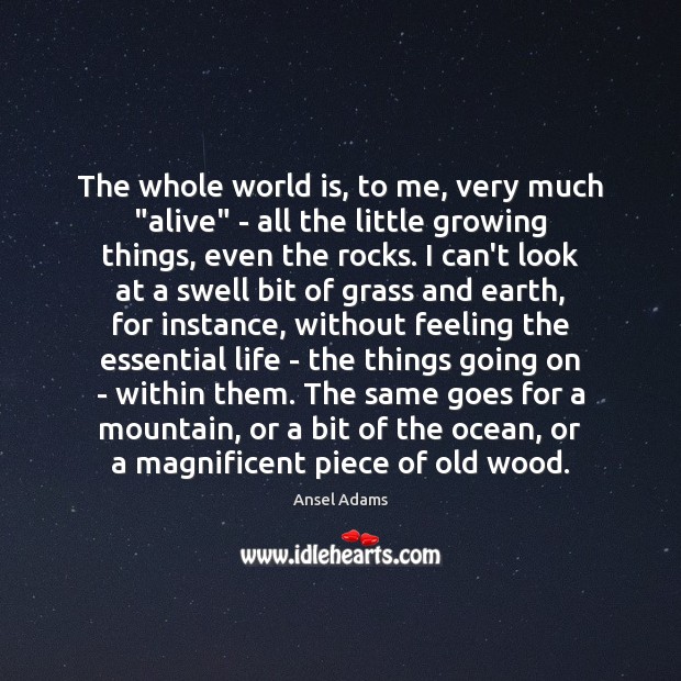 The whole world is, to me, very much “alive” – all the Image