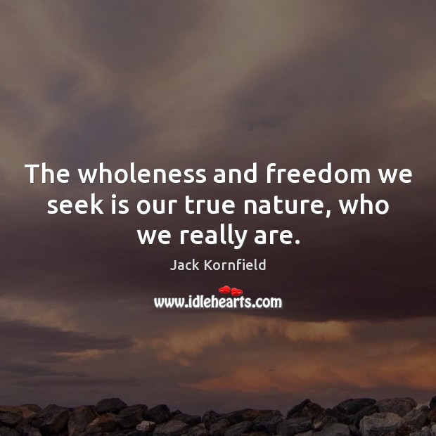 The wholeness and freedom we seek is our true nature, who we really are. Jack Kornfield Picture Quote