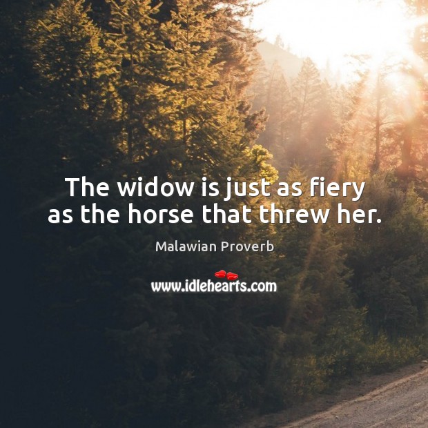 The widow is just as fiery as the horse that threw her. Malawian Proverbs Image