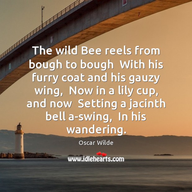 The wild Bee reels from bough to bough  With his furry coat Image