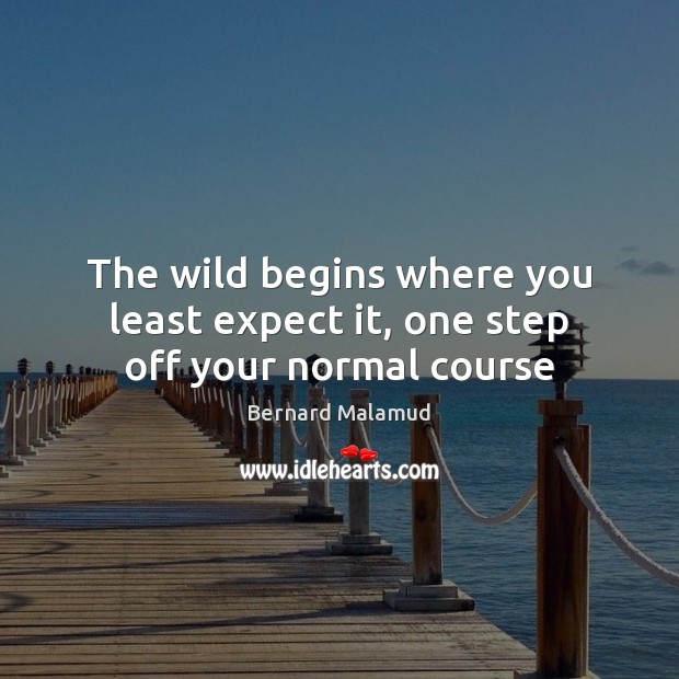 The wild begins where you least expect it, one step off your normal course Bernard Malamud Picture Quote