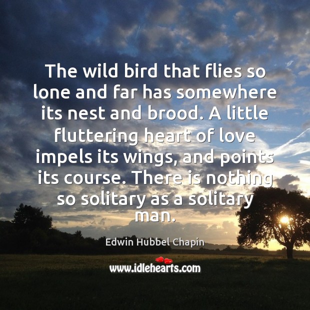 The wild bird that flies so lone and far has somewhere its Edwin Hubbel Chapin Picture Quote