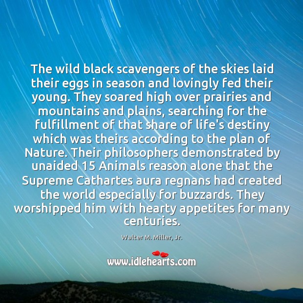 The wild black scavengers of the skies laid their eggs in season Walter M. Miller, Jr. Picture Quote