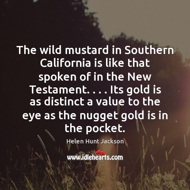 The wild mustard in Southern California is like that spoken of in Helen Hunt Jackson Picture Quote