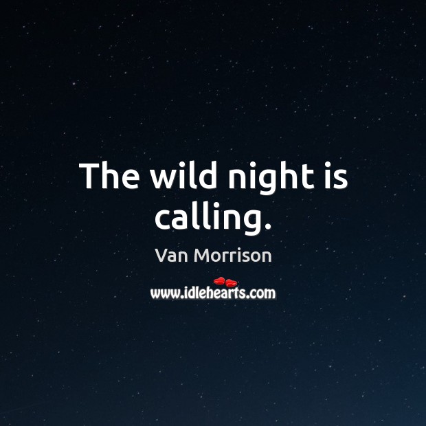 The wild night is calling. Image