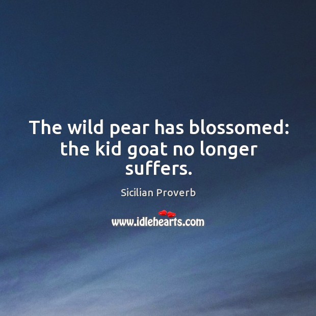 The wild pear has blossomed: the kid goat no longer suffers. 