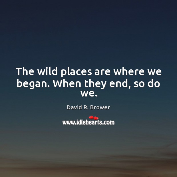 The wild places are where we began. When they end, so do we. David R. Brower Picture Quote