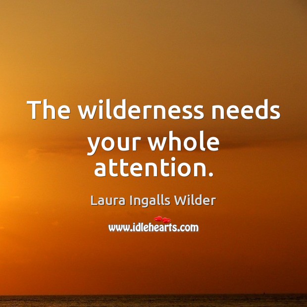 The wilderness needs your whole attention. Laura Ingalls Wilder Picture Quote