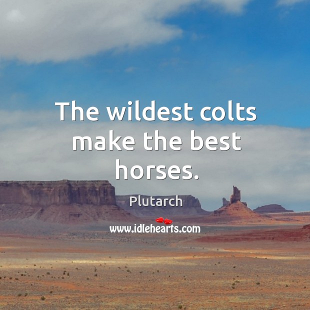The wildest colts make the best horses. Image