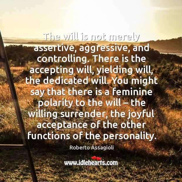 The will is not merely assertive, aggressive, and controlling. There is the Image