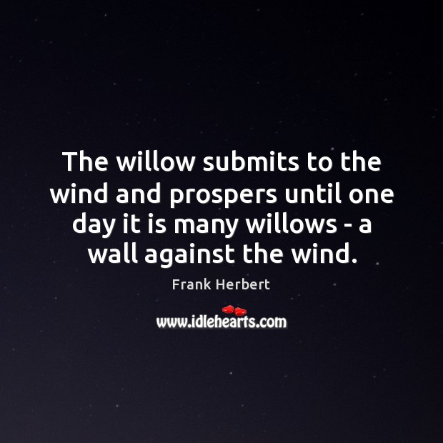 The willow submits to the wind and prospers until one day it Frank Herbert Picture Quote