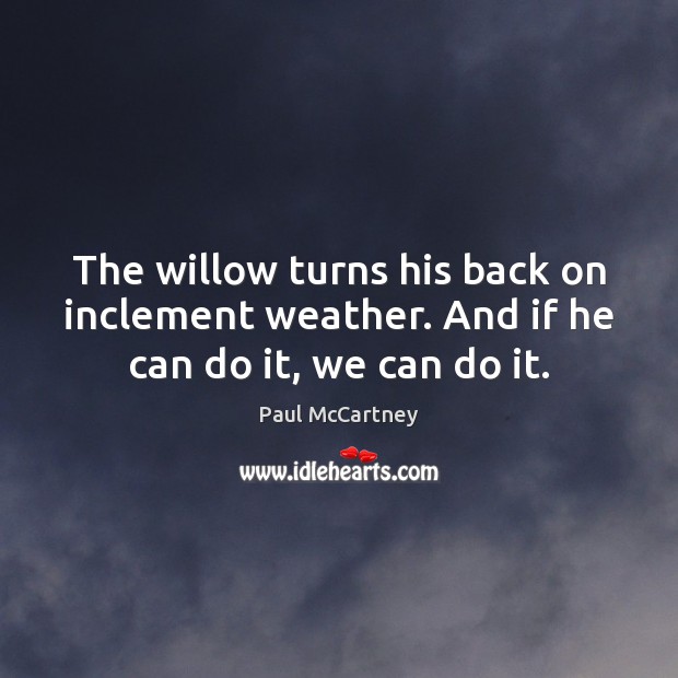 The willow turns his back on inclement weather. And if he can do it, we can do it. Paul McCartney Picture Quote