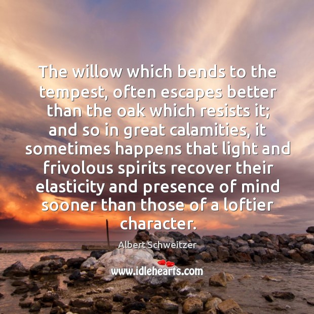 The willow which bends to the tempest, often escapes better than the oak which resists it Albert Schweitzer Picture Quote