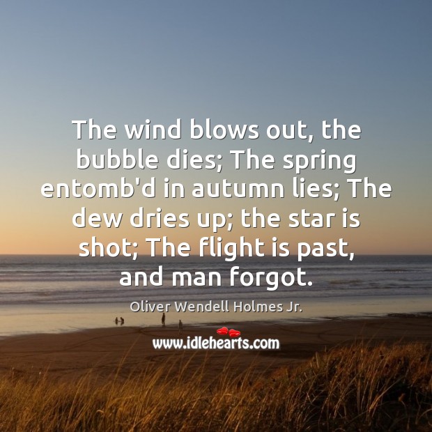 The wind blows out, the bubble dies; The spring entomb’d in autumn Oliver Wendell Holmes Jr. Picture Quote