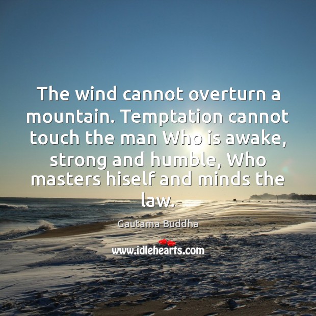 The wind cannot overturn a mountain. Temptation cannot touch the man Who Gautama Buddha Picture Quote
