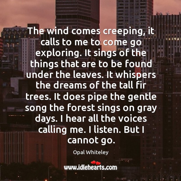 The wind comes creeping, it calls to me to come go exploring. Opal Whiteley Picture Quote
