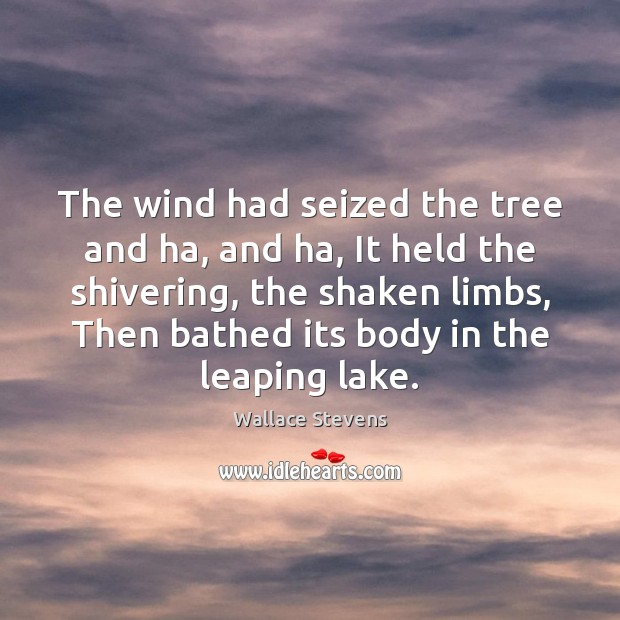 The wind had seized the tree and ha, and ha, It held Wallace Stevens Picture Quote
