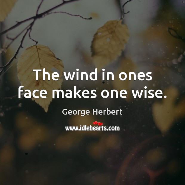 The wind in ones face makes one wise. George Herbert Picture Quote