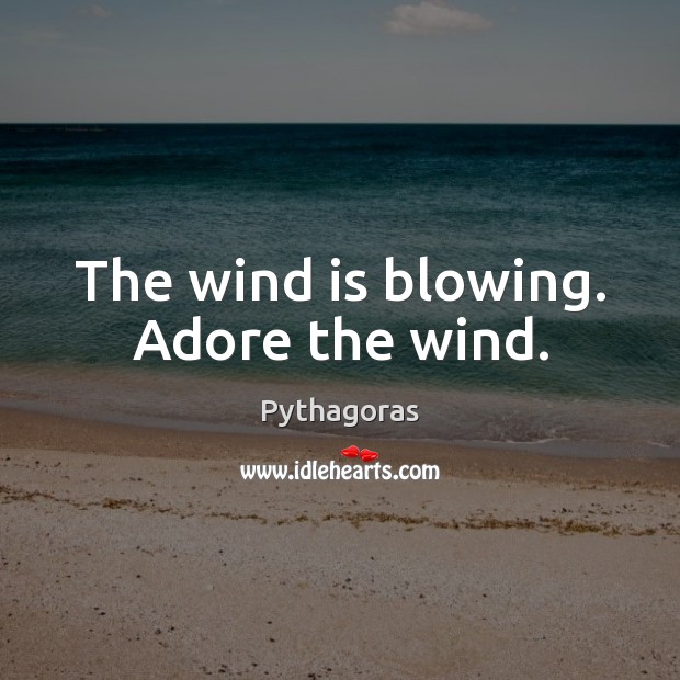 The wind is blowing. Adore the wind. Image