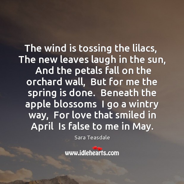 The wind is tossing the lilacs,  The new leaves laugh in the Sara Teasdale Picture Quote