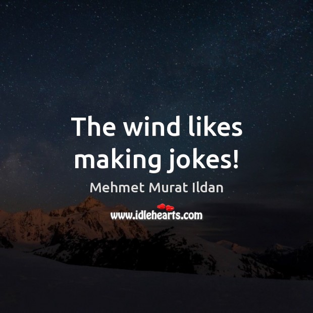 The wind likes making jokes! Mehmet Murat Ildan Picture Quote