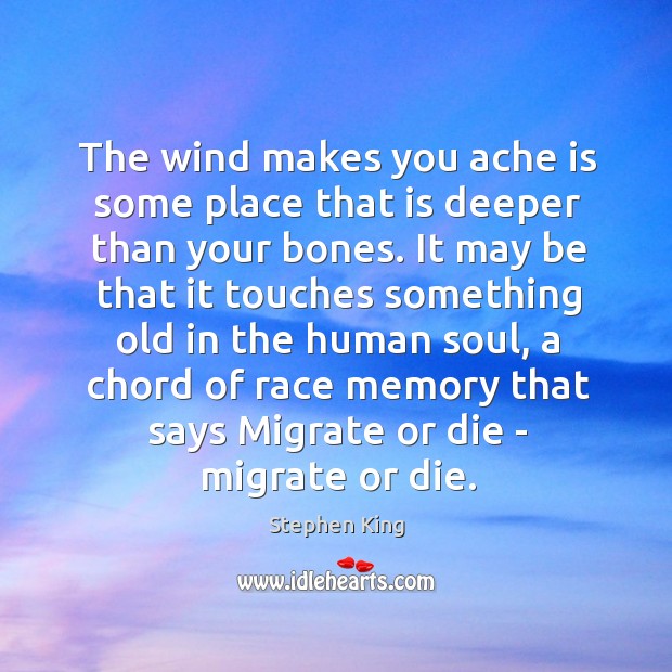 The wind makes you ache is some place that is deeper than Stephen King Picture Quote