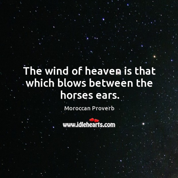 The wind of heaven is that which blows between the horses ears. Moroccan Proverbs Image