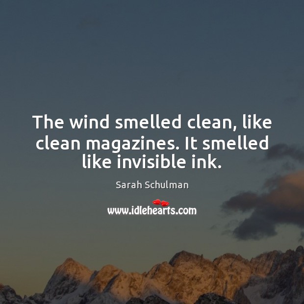 The wind smelled clean, like clean magazines. It smelled like invisible ink. Sarah Schulman Picture Quote