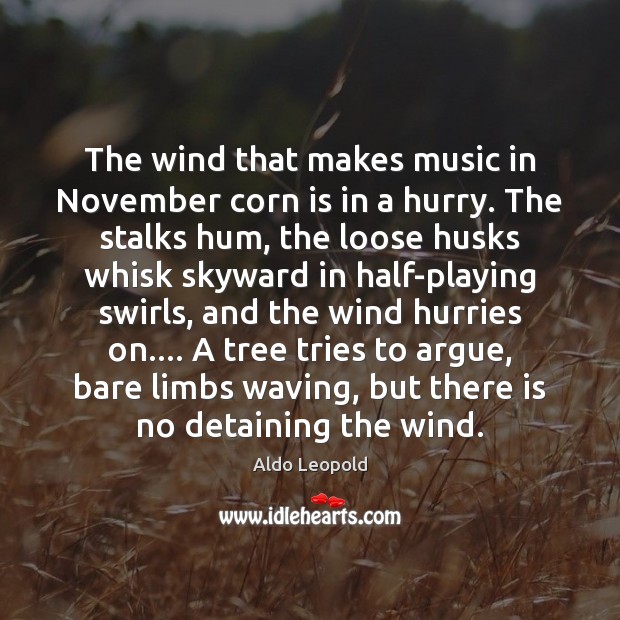 The wind that makes music in November corn is in a hurry. Aldo Leopold Picture Quote
