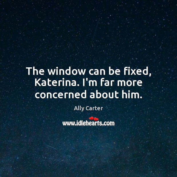 The window can be fixed, Katerina. I’m far more concerned about him. Ally Carter Picture Quote