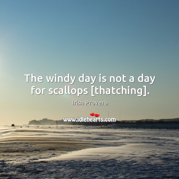 The windy day is not a day for scallops [thatching]. Irish Proverbs Image