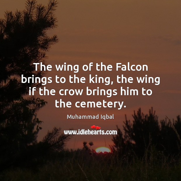 The wing of the Falcon brings to the king, the wing if Muhammad Iqbal Picture Quote
