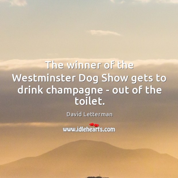 The winner of the Westminster Dog Show gets to drink champagne – out of the toilet. Image
