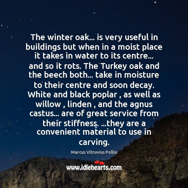 The winter oak… is very useful in buildings but when in a Marcus Vitruvius Pollio Picture Quote