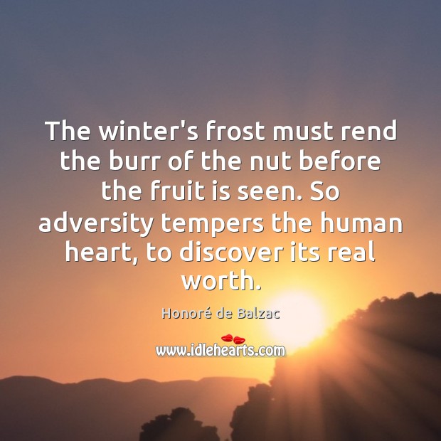 The winter’s frost must rend the burr of the nut before the Image