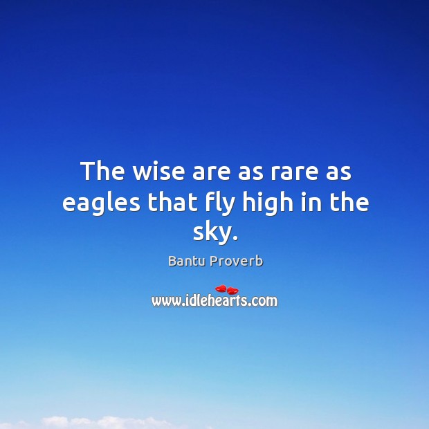 The wise are as rare as eagles that fly high in the sky. Bantu Proverbs Image