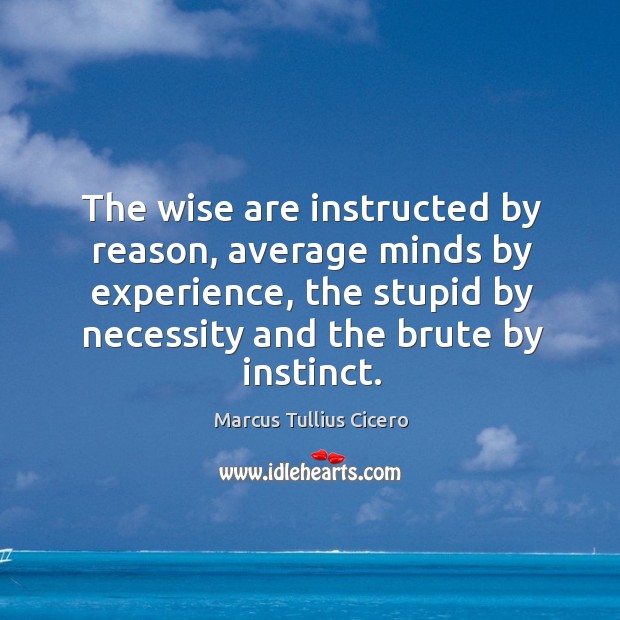 The wise are instructed by reason, average minds by experience, the stupid by necessity and the brute by instinct. Marcus Tullius Cicero Picture Quote