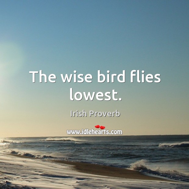 The wise bird flies lowest. Image