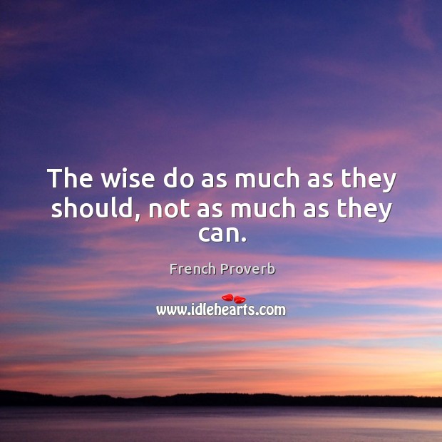 The wise do as much as they should, not as much as they can. French Proverbs Image