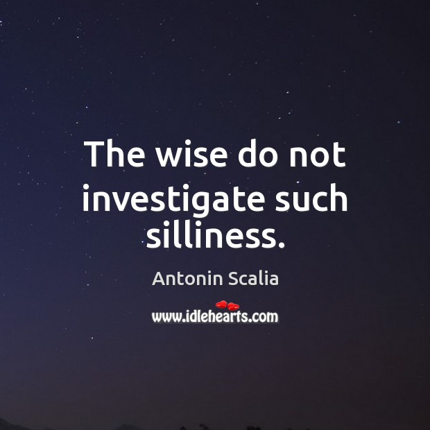 The wise do not investigate such silliness. Antonin Scalia Picture Quote