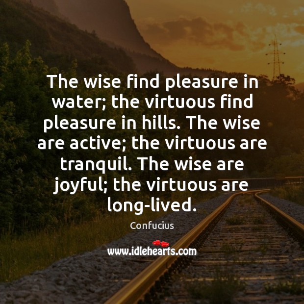 The wise find pleasure in water; the virtuous find pleasure in hills. Confucius Picture Quote