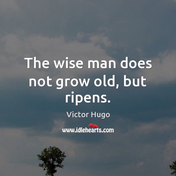 The wise man does not grow old, but ripens. Image