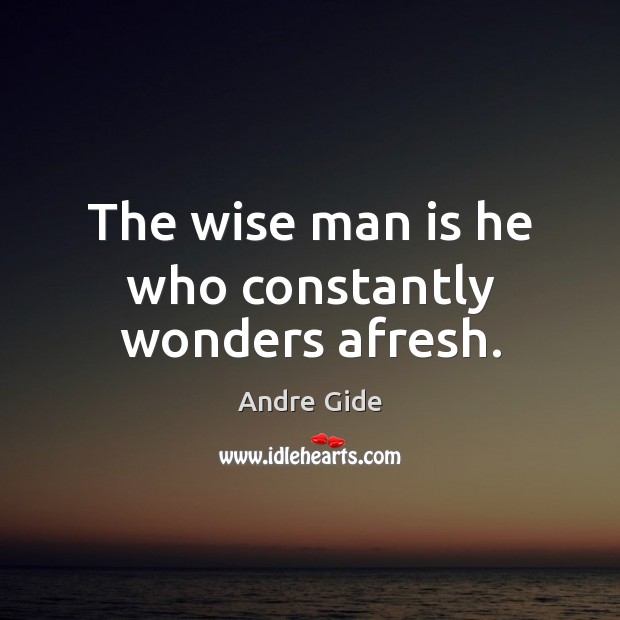 The wise man is he who constantly wonders afresh. Image