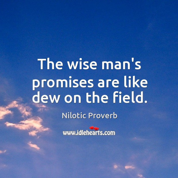The wise man’s promises are like dew on the field. Nilotic Proverbs Image