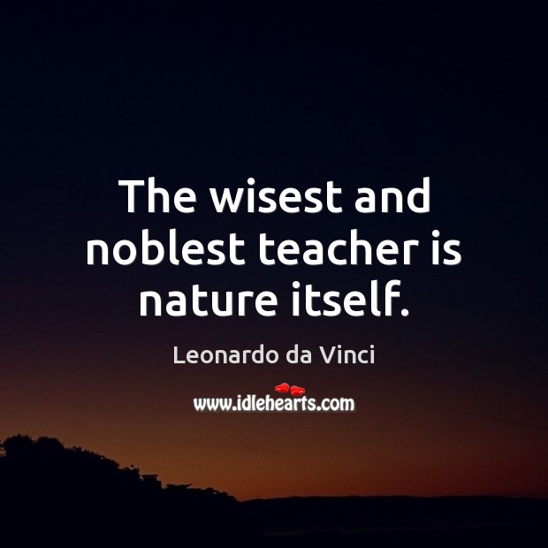 The wisest and noblest teacher is nature itself. Leonardo da Vinci Picture Quote