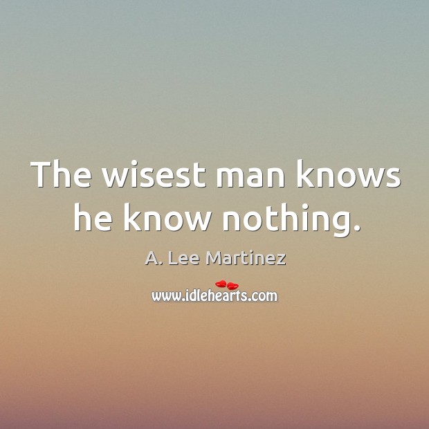 The wisest man knows he know nothing. A. Lee Martinez Picture Quote