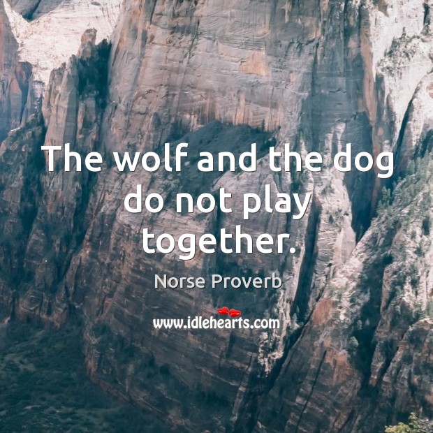 The wolf and the dog do not play together. Norse Proverbs Image