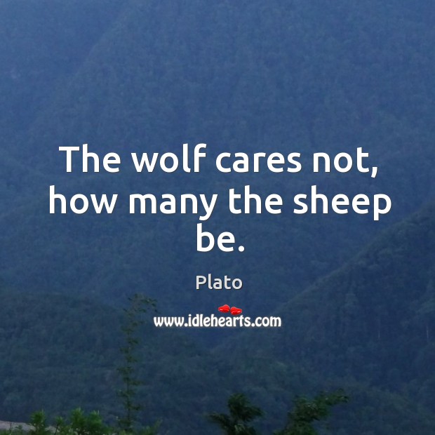 The wolf cares not, how many the sheep be. Plato Picture Quote