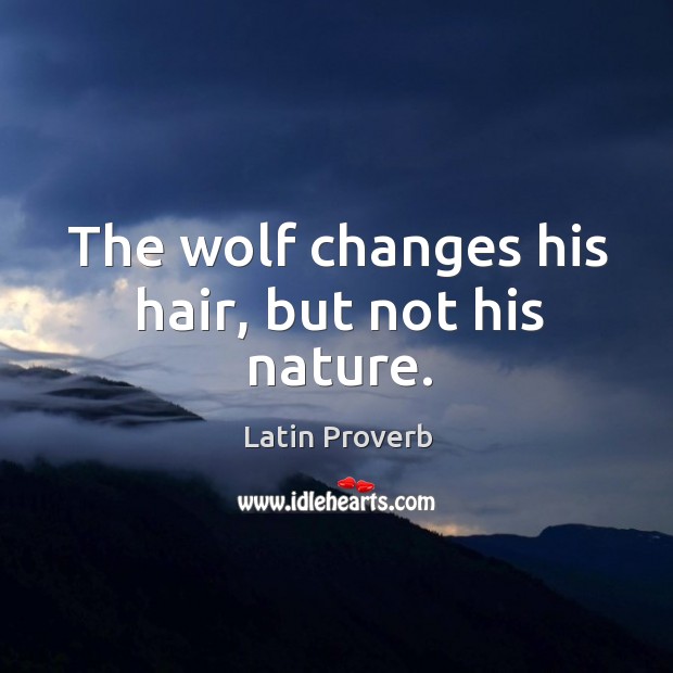 The wolf changes his hair, but not his nature. Image